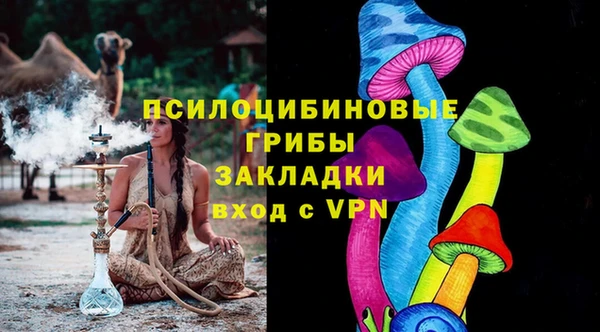 молекула духа Струнино