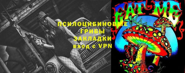 соль ск Переславль-Залесский