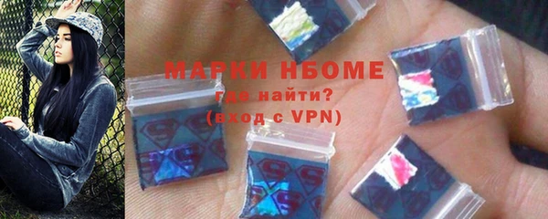 соль ск Пересвет