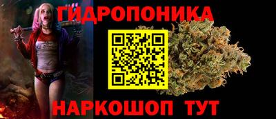 соль ск Гусь-Хрустальный