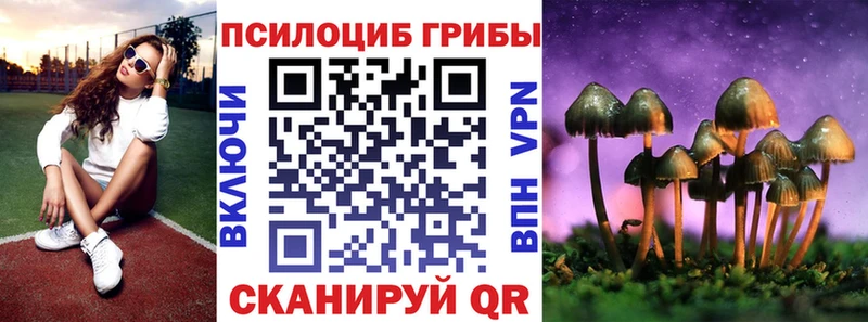 где купить Коряжма Псилоцибиновые грибы мухоморы