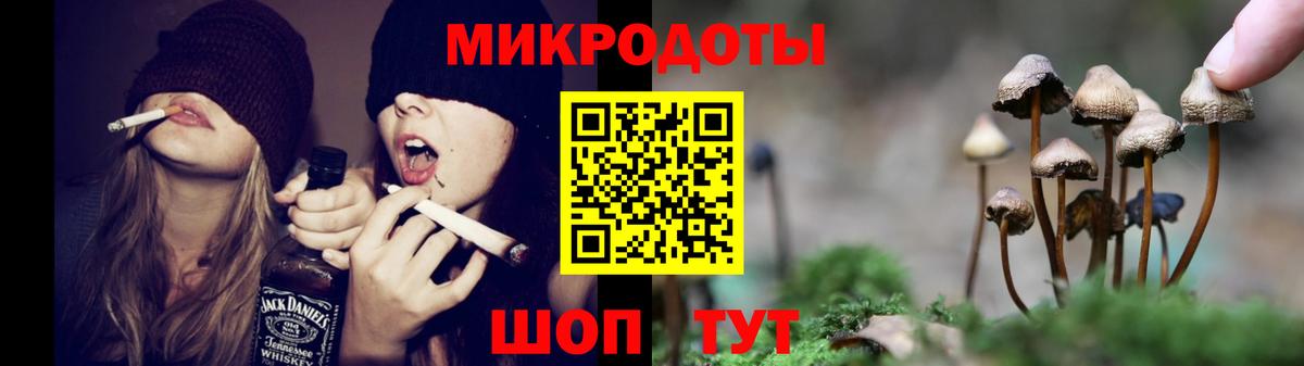 Псилоцибиновые грибы мицелий  Вход с VPN  Псилоцибиновые грибы GOLDEN TEACHER  Коряжма 